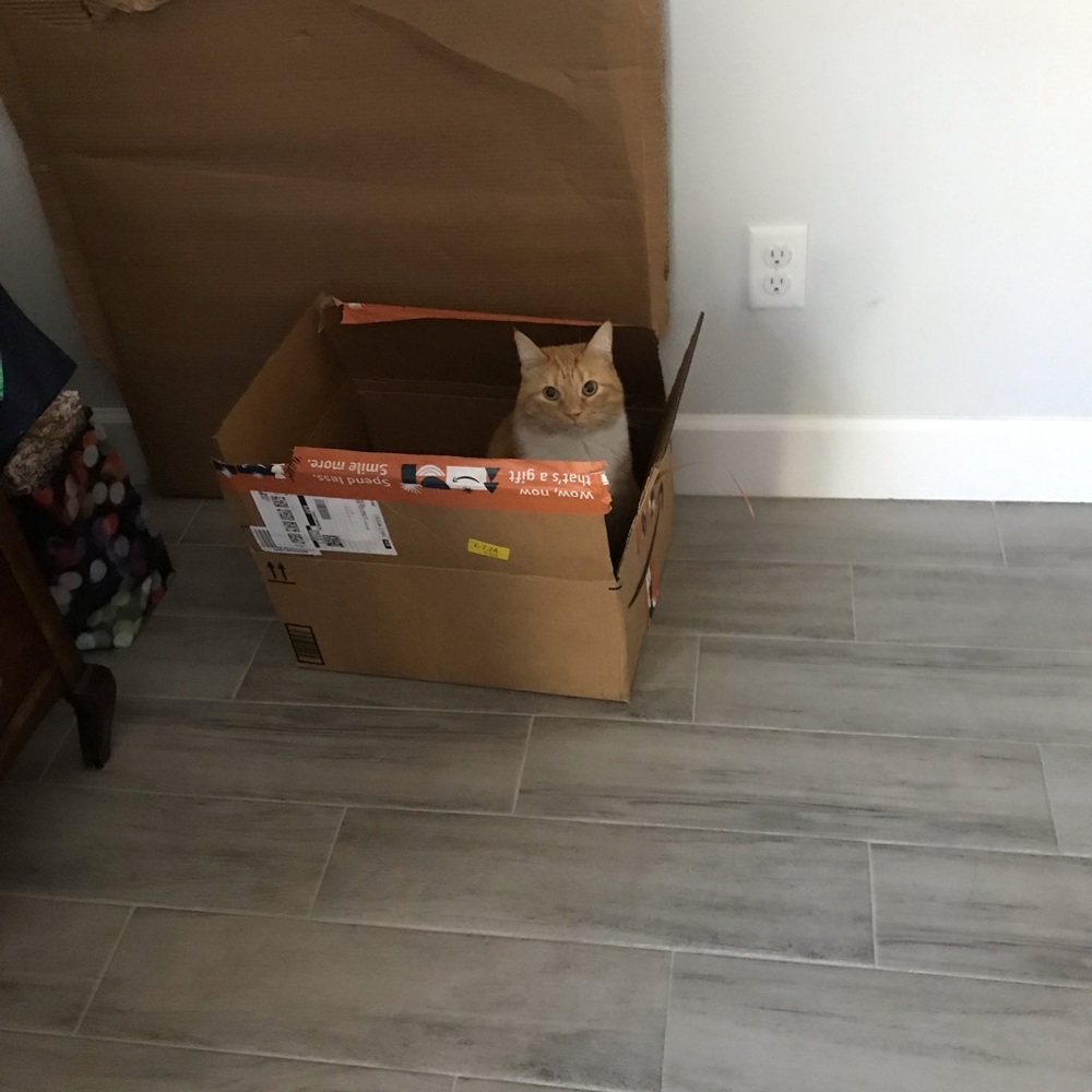 I’m PumpkinSpice the other Spice Girl - Picture 11 of 17
